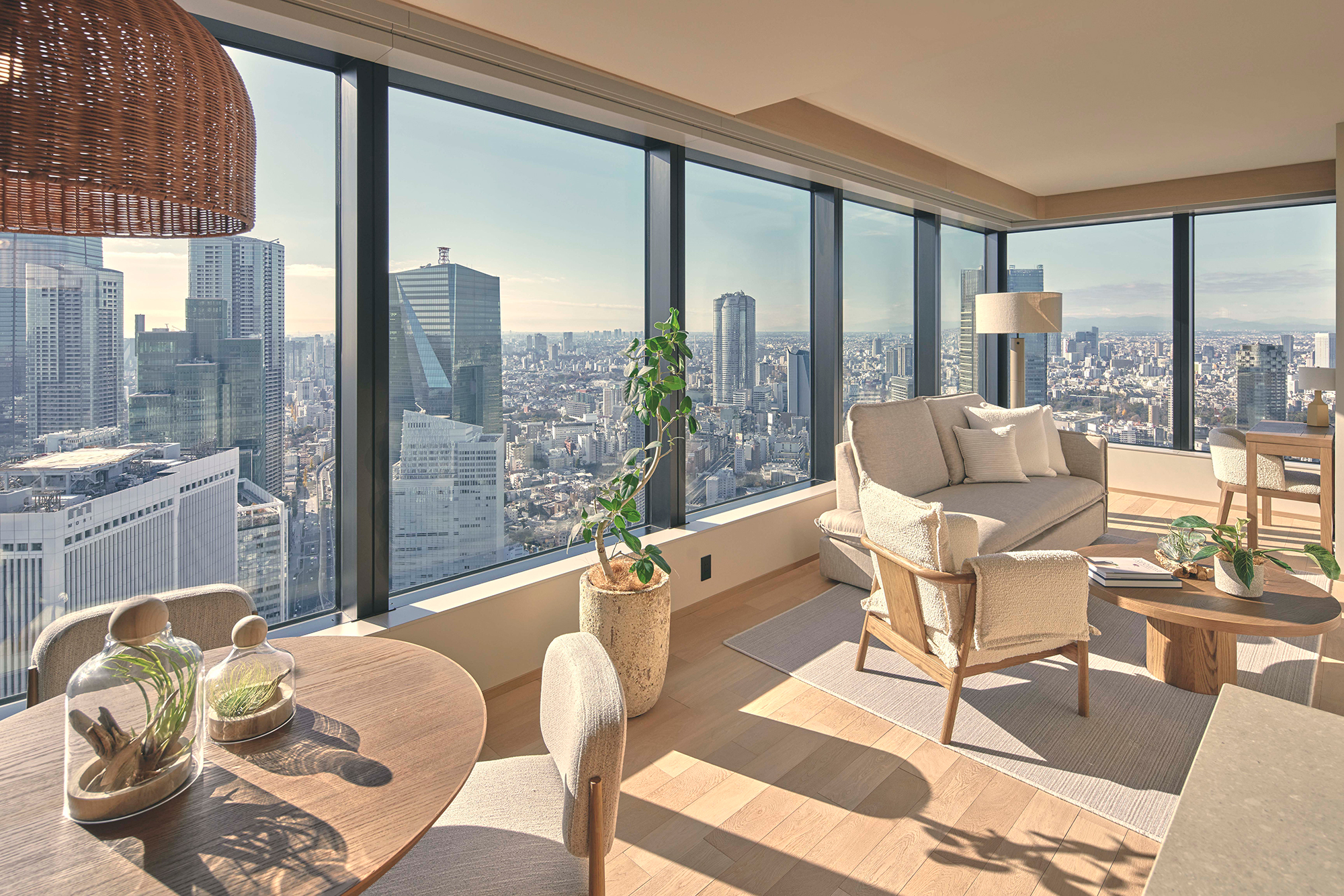 E Type Living Room and Dining Area